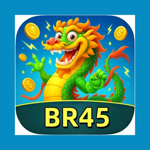 br45 Logo